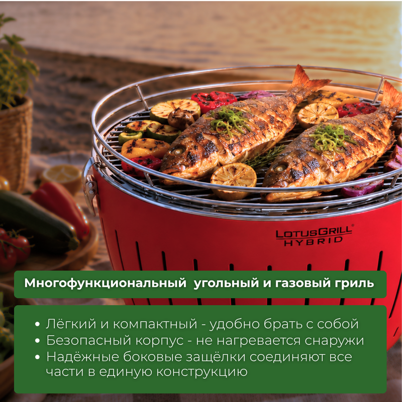 Фото товара Гриль LotusGrill Classic Hybrid 35 см